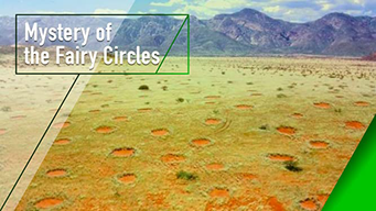 Mystery of the Fairy Circles (2011)