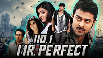No.1 Mr. Perfect (2013)
