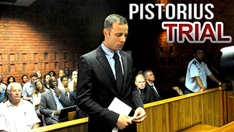 Pistorius Trial: The Key Questions (2013)