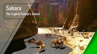 Sahara - The English Patient's Desert (2002)