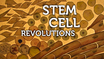 Stem Cell Revolutions (2012)