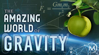 The Amazing World of Gravity (2017)