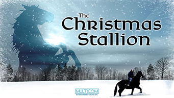 The Christmas Stallion (1992)