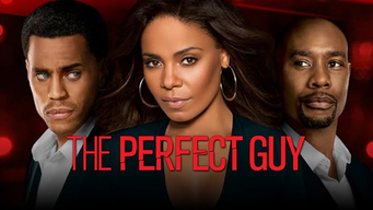 The Perfect Guy (2010)