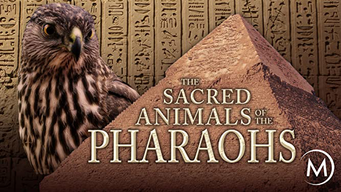 The Sacred Animals of the Pharaohs (2007)