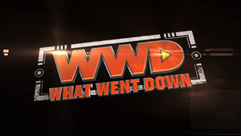 What Went Down (2014)