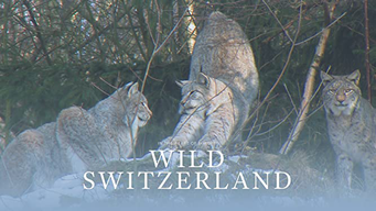 Wild Switzerland (2018)