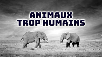 Animaux Trop Humains (2005)