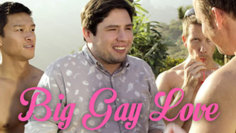 Big gay love (2014)