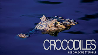 Crocodiles, les dragons éternels (2019)