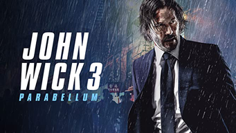 John Wick 3 : Parabellum (2019)