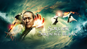 Le Sorcier et le Serpent Blanc (2011)