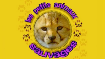 Les Petits Animaux Sauvages (1999)