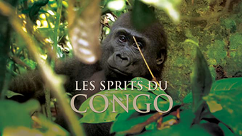 Les sprits du Congo (2020)