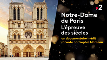 Notre-Dame de Paris, l'épreuve des siècles (2022)
