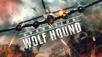 Operation Wolf Hound (2023)