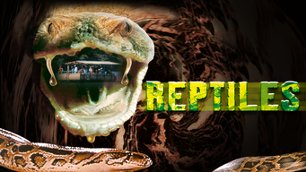 Reptiles (2002)