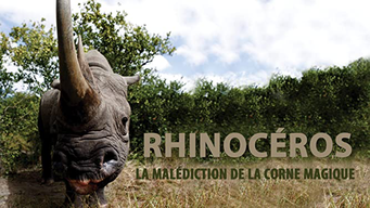 Rhinocéros, la malédiction de la corne magique (2019)