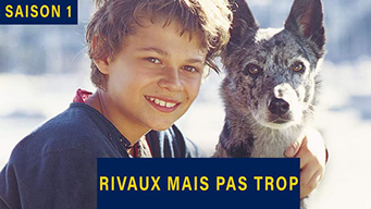 Rivaux mais pas trop (2003)