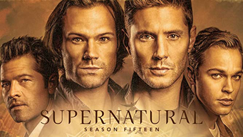 Supernatural: Season 14 (2020)