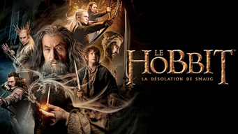 Le Hobbit : la Désolation de Smaug (2013)