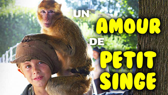 Un amour de petit singe (2012)