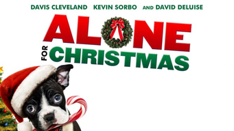 Alone for Christmas (2013)