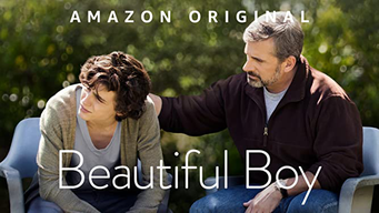 Beautiful Boy (2018)