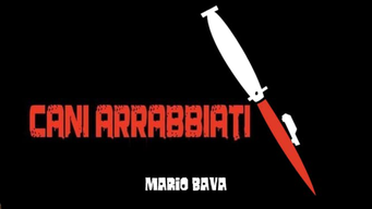 Cani Arrabbiati (1973)