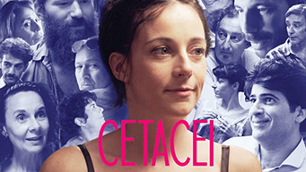 Cetacei (2018)