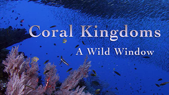 Coral Kingdoms (2018)