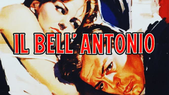 Il Bell'Antonio (1960)