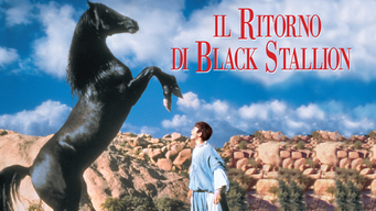 Il ritorno di black stallion (1984)