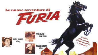 Le nuove avventure di Furia (1950)