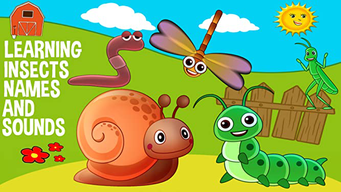 Learning Insects Names and Sounds (2017)