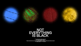 Not Everything is Black (2019)