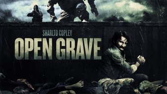 Open Grave (2014)