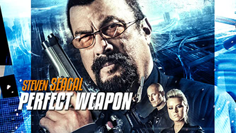 Perfect Weapon (2016)