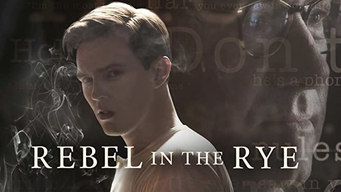 REBEL IN THE RYE (2017)