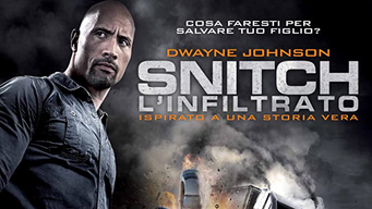 Snitch - l'infiltrato (2013)