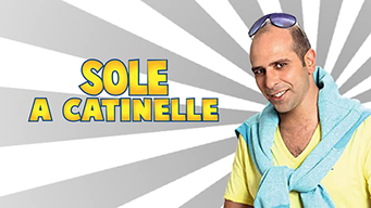 Sole a catinelle (2013)