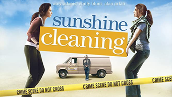 Sunshine Cleaning (2010)