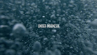 Surf Indonesia (2016)
