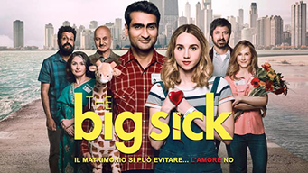 The Big Sick: Il matrimonio si può evitare... l'amore no (2017)