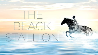 The Black Stallion (1980)