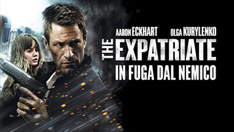 The Expatriate - In fuga dal nemico (2014)