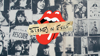 The Rolling Stones - Stones In Exile (2010)