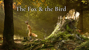 The Fox and the Bird (2022)