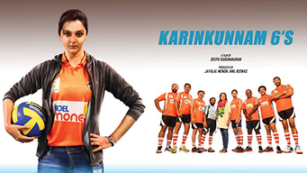Karinkunnam 6's (Malayalam) (2016)
