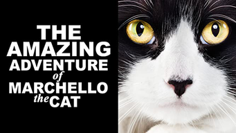 The Amazing Adventure of Marchello the Cat (2017)
